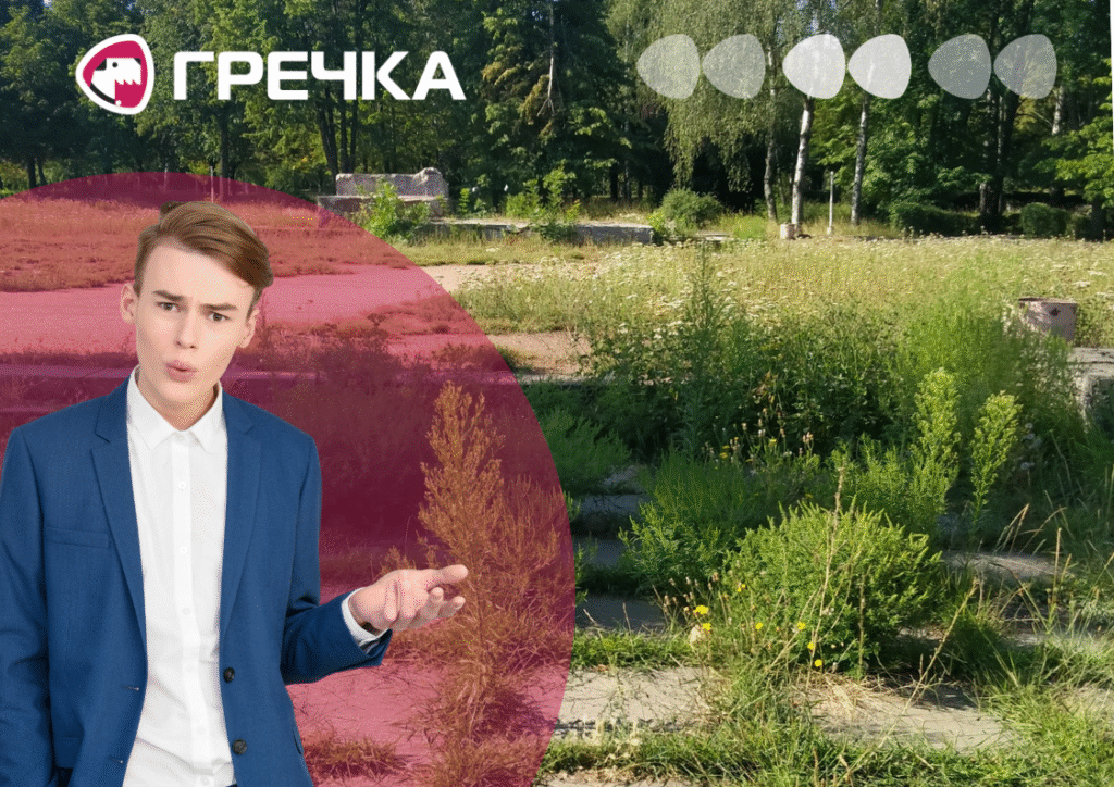 сквер у Кропивницькому скільки Кондакова