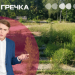сквер у Кропивницькому скільки Кондакова
