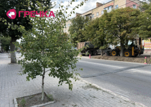 дерева насадження видатки