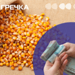 кукурудза завищення цін розкрадання