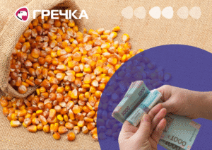 кукурудза завищення цін розкрадання