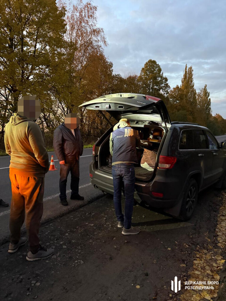Масштабна схема незаконної вирубки дубів