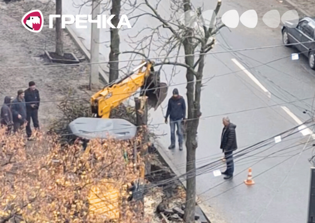 дерево видалили Шевченка у Кропивницькому