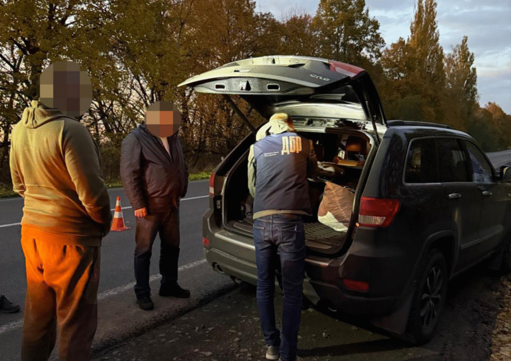 Схема незаконної вирубки дубів