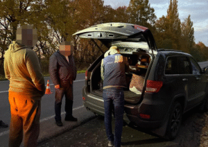 Схема незаконної вирубки дубів