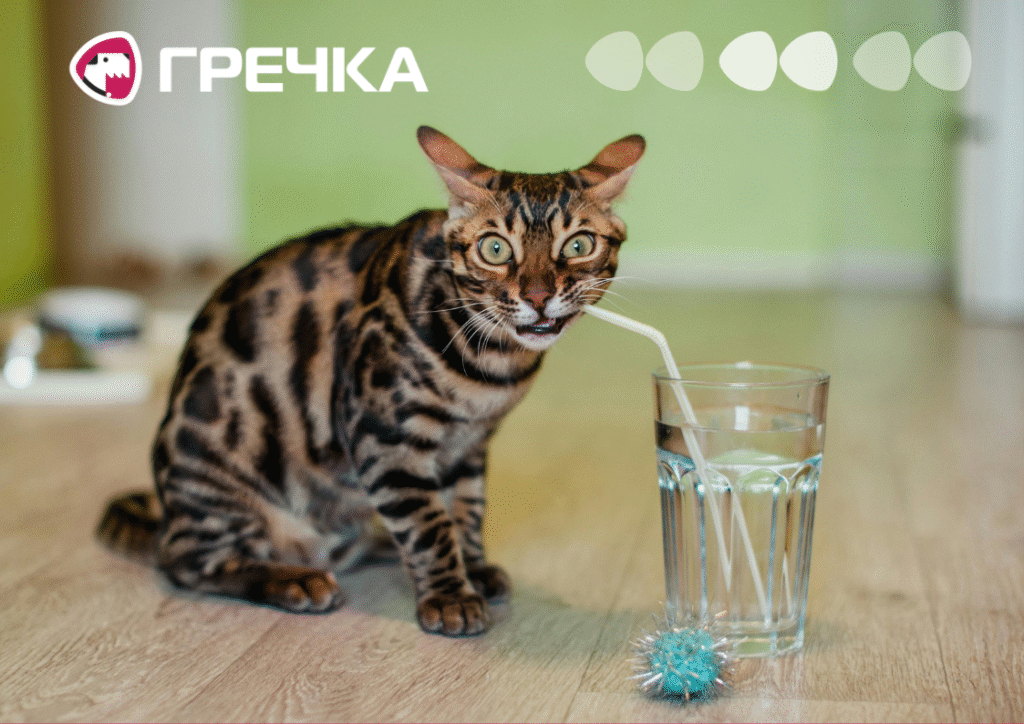 воду відключили води вода кран водоканал кіт пити