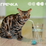 воду відключили води вода кран водоканал кіт пити