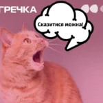 сказ