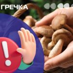 Отруїлася грибами