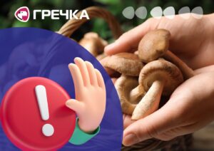 Отруїлася грибами