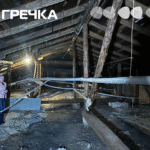 Дірявий дах, сирість і брак фінансування: яка зараз ситуація у Музеї мистецтв