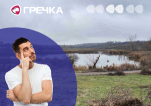 У Помічній в оренду віддали ставок, яким місцеві опікувалися 20 років