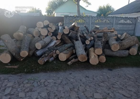Жителям Олександрійського району повідомили підозру у незаконній вирубці лісу