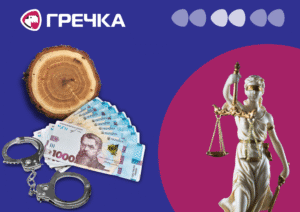 Смерть дитини та махінації із землею: резонансні справи цього тижня на Кіровоградщині