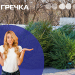 У лісництві пояснили, чому на точках продажу на Кіровоградщині може не бути ялинок