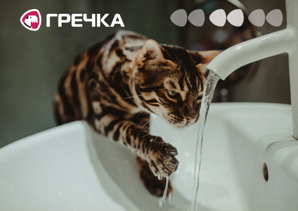 не буде води відключать мікрорайон