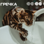 не буде води відключать мікрорайон