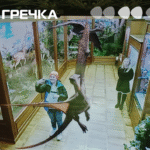селфі з птеродактилем