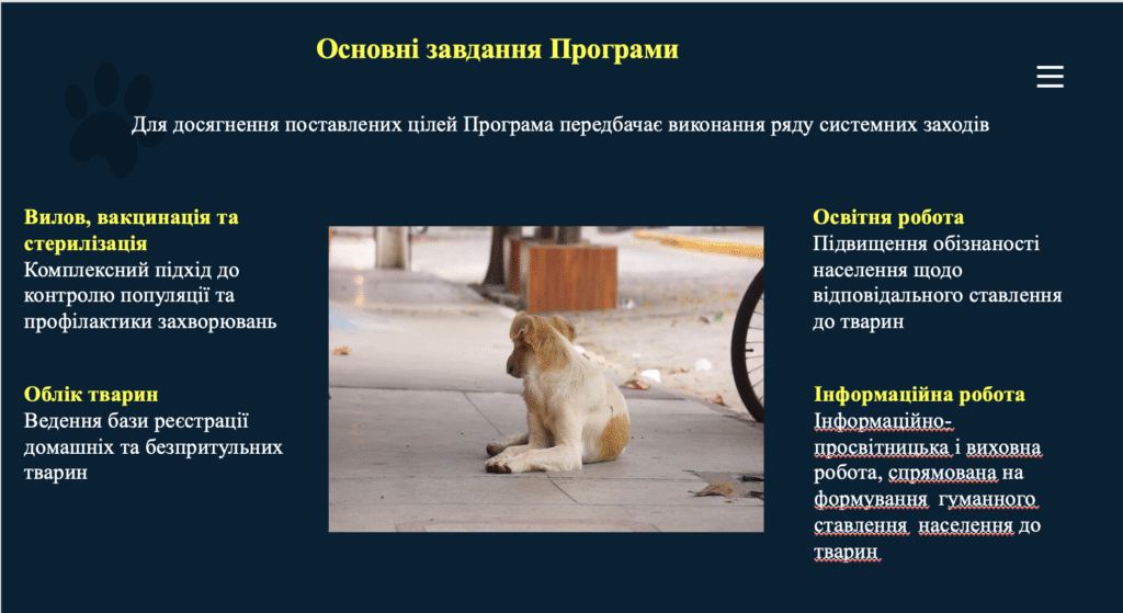 безпритульні у Кропивницькому тварини собаки