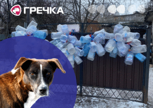 Тварини у притулку без води