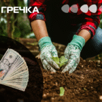 У Кропивницькому за 5,4 мільйона гривень парк «Перемоги» доглядатиме незмінний підрядник