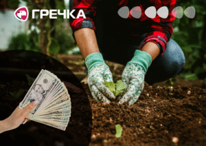 У Кропивницькому за 5,4 мільйона гривень парк «Перемоги» доглядатиме незмінний підрядник