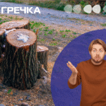 На Кіровоградщині сільгосппідприємство вирубує лісосмуги
