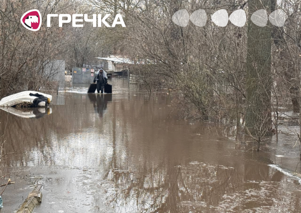 паводок у притулку тварин