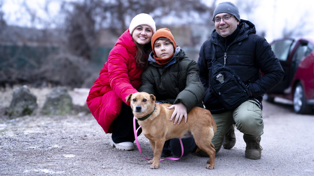 Родина Зоріних