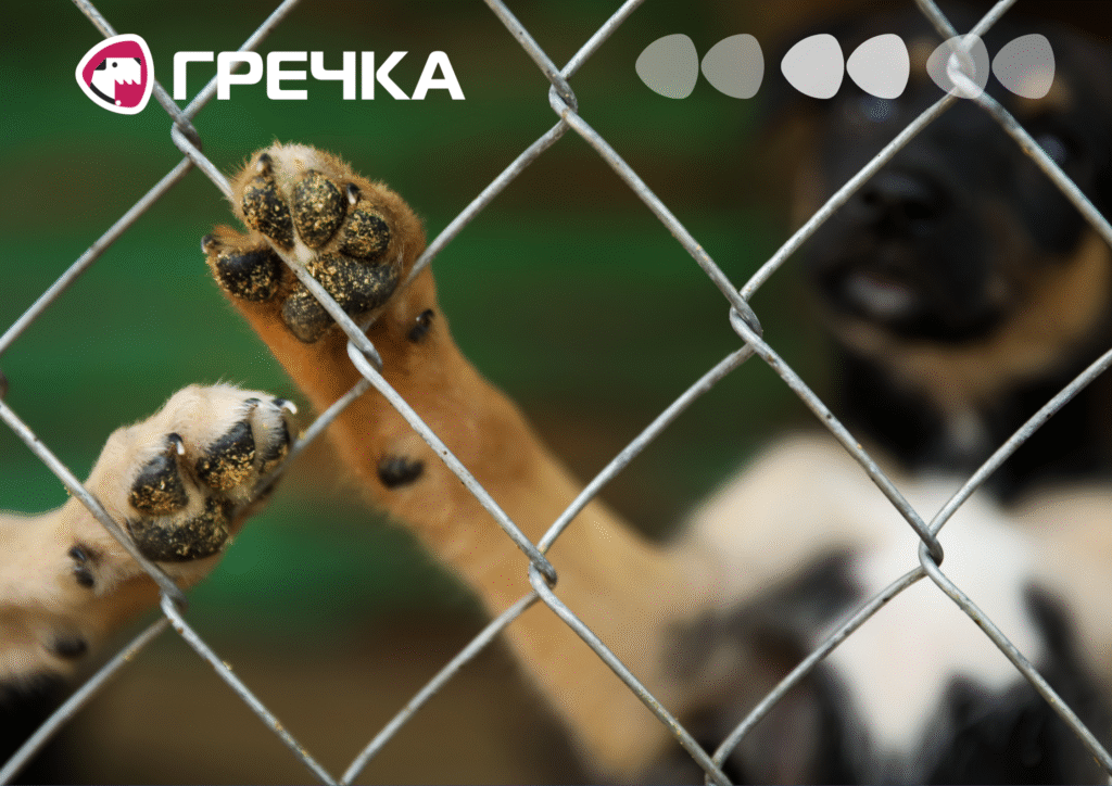 ділянка зоопритулок Бім виставлена на продаж