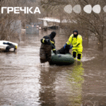 кропивничани рятують тварин із затопленого притулку