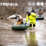 кропивничани рятують тварин із затопленого притулку