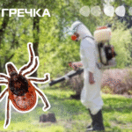 кліщів оброблятимуть як вберегтися