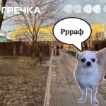 підписав договори на будівництво МАФів у Кропивницькому