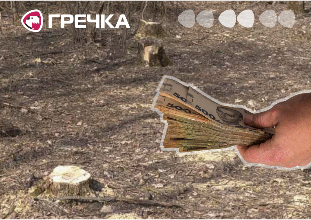 вирубка дерев відшкодувати мільйонів у заказнику