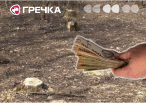 вирубка дерев відшкодувати мільйонів у заказнику