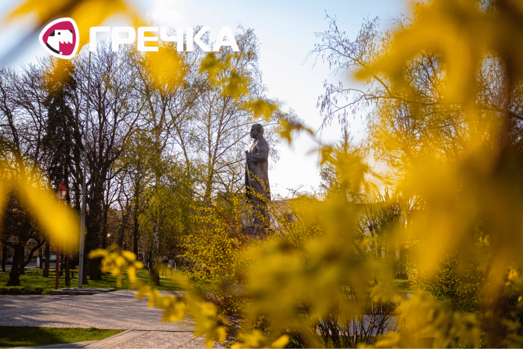 Біля памʼятника Шевченку у Кропивницькому цвітуть дерева