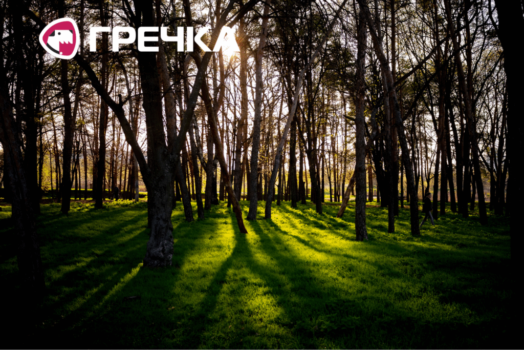 Весна у парках Кропивницького
