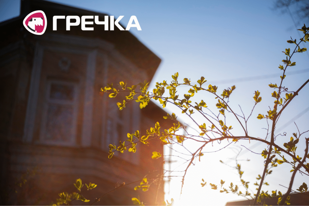 Весняний Кропивницький 2