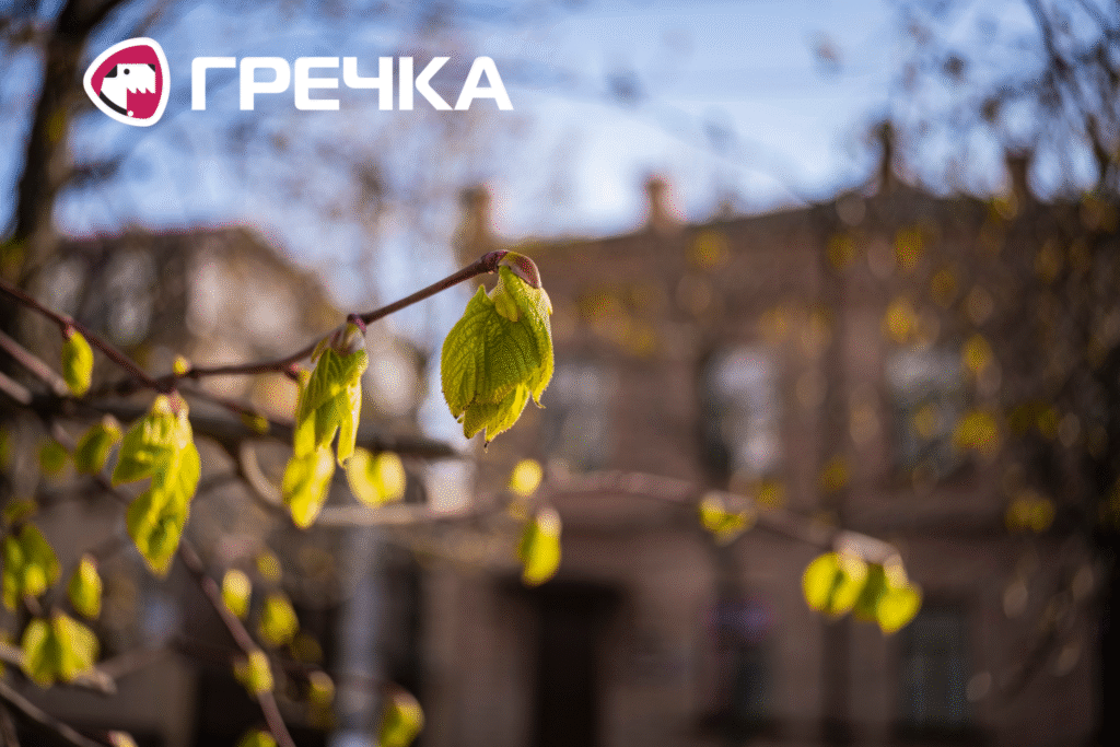 Весна у Кропивницькому