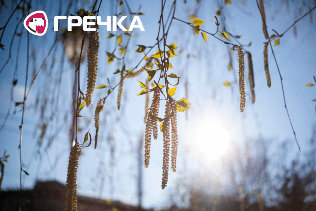 Весна на вулицях у Кропивницькому
