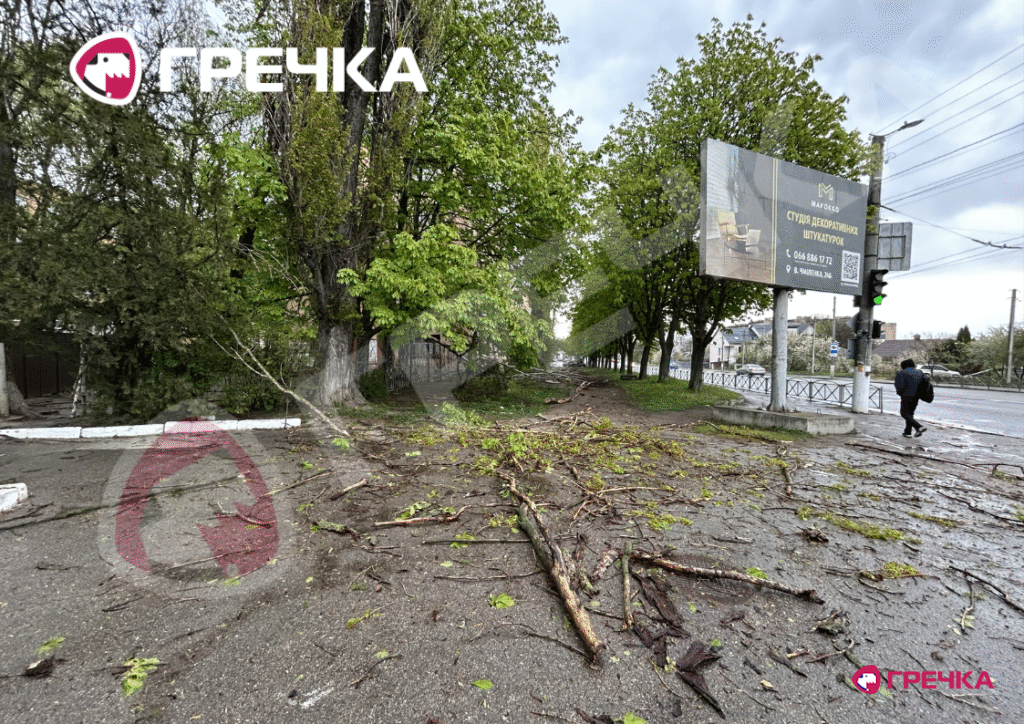 дерева впали по вулиці Хижняка