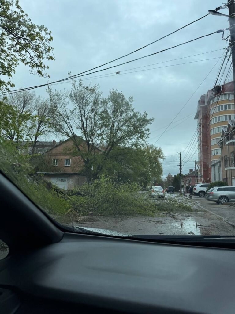 дерево впало Гузара висить дріт