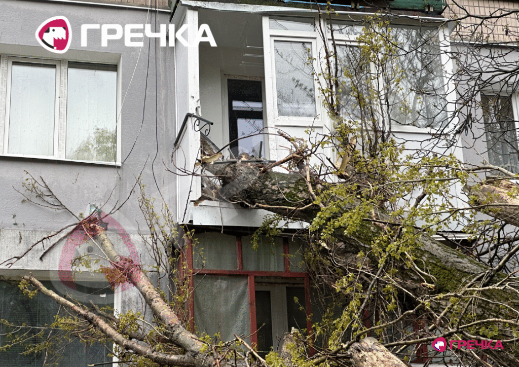 дерево впало на балкон дерева