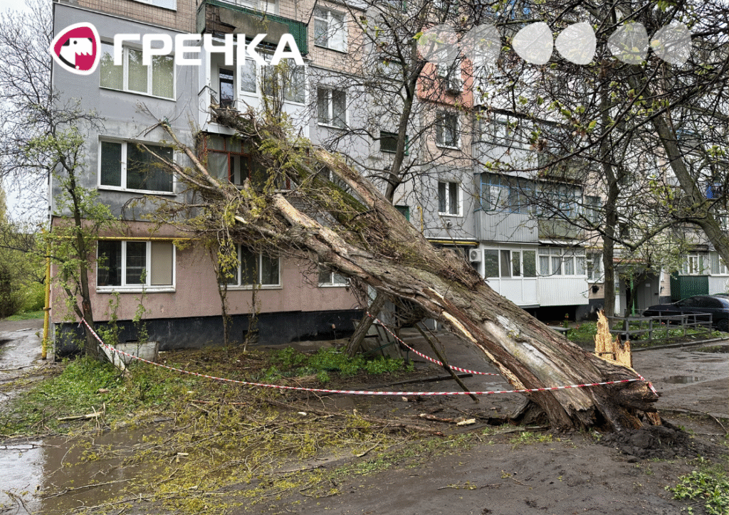 Дерево впало на будинок у Кропивницькому головна