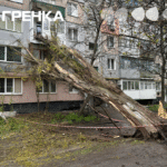 Дерево впало на будинок у Кропивницькому головна
