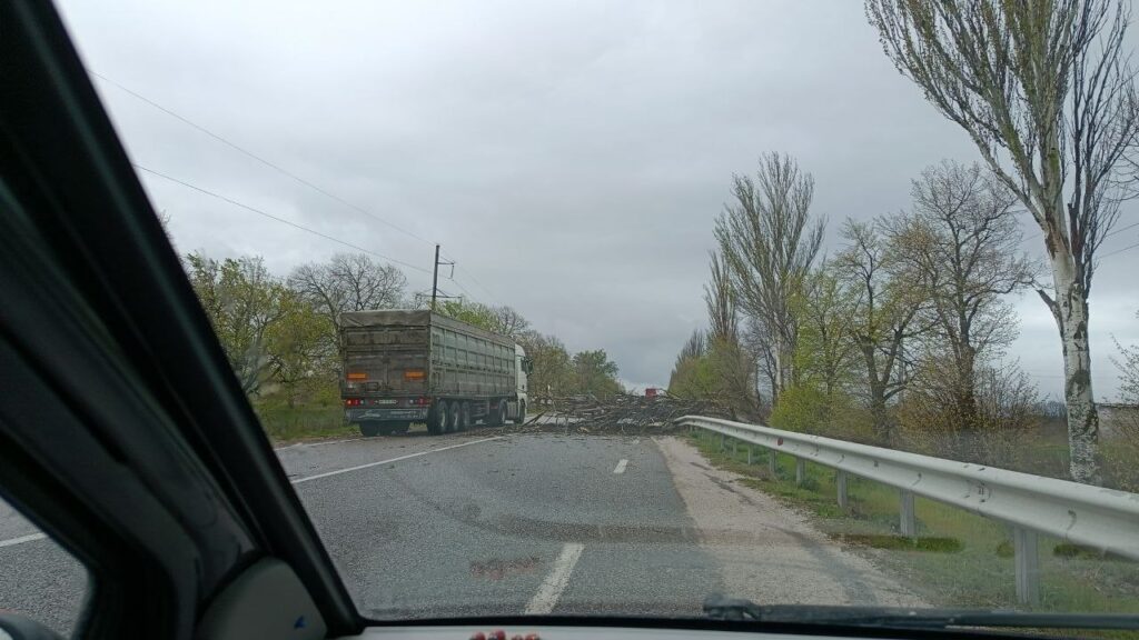дерево впало Об'їздна, від Бобринецького кільця на право