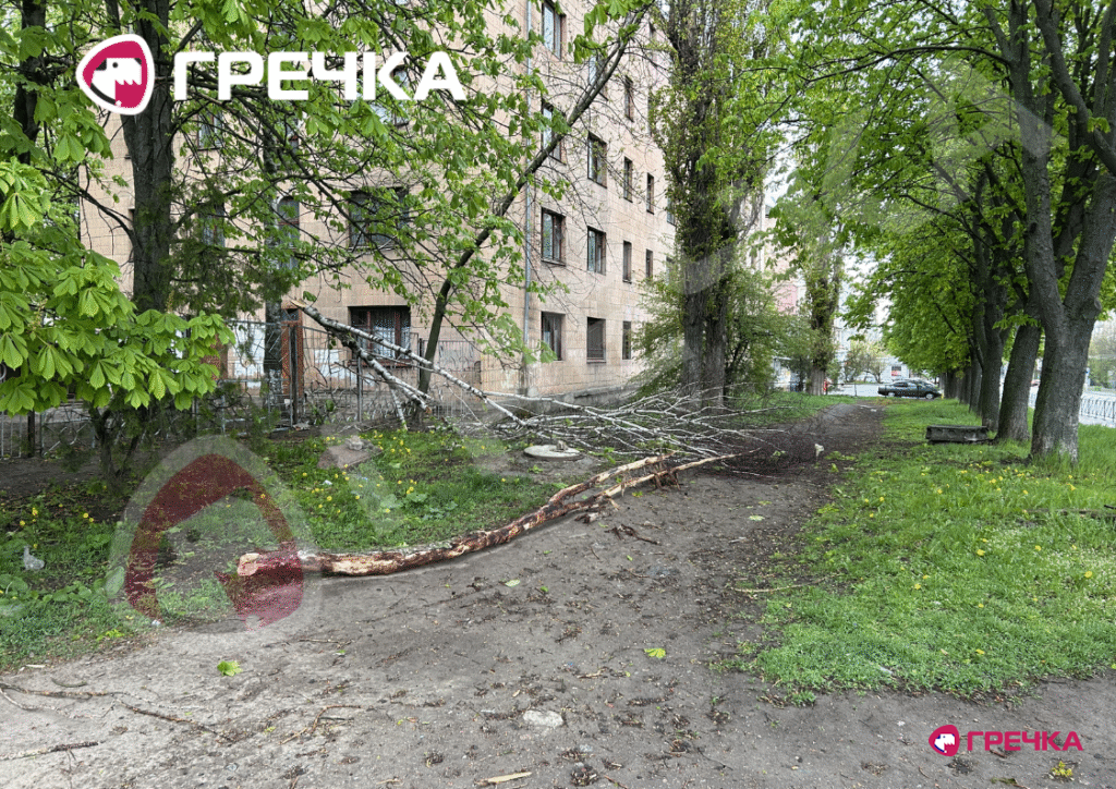 дерево впало по вулиці Олексія Хижняка