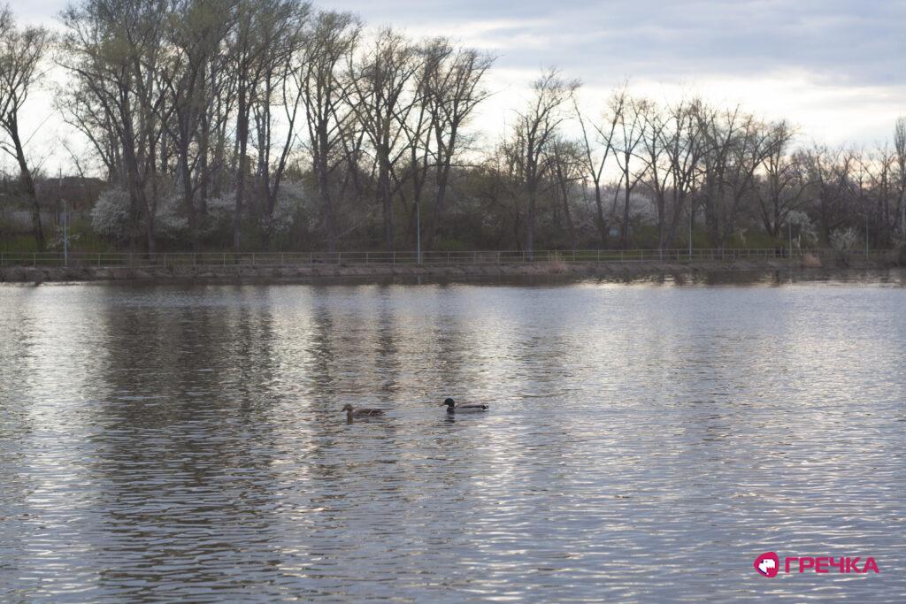 Інгул Кропивницький