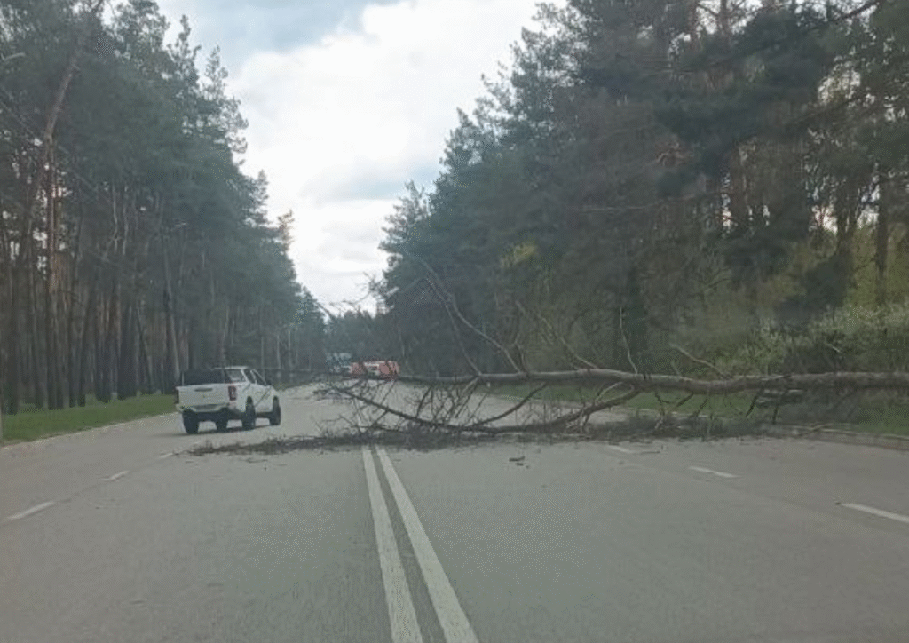 Дерево впало на дорозі по Холодноярській